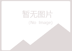 绵阳夜山能源有限公司